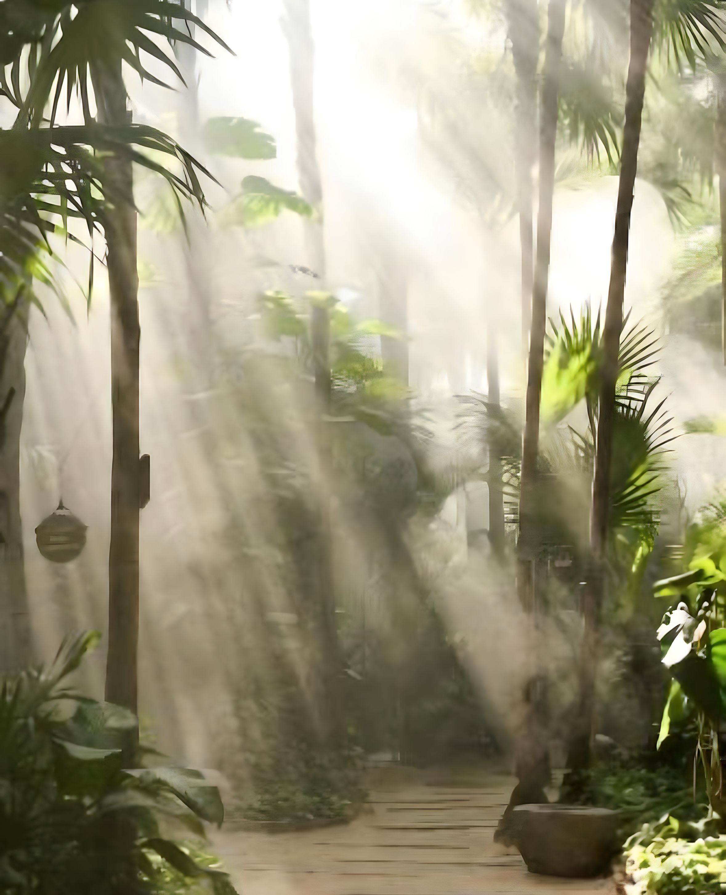 a picture of a coastal jungle