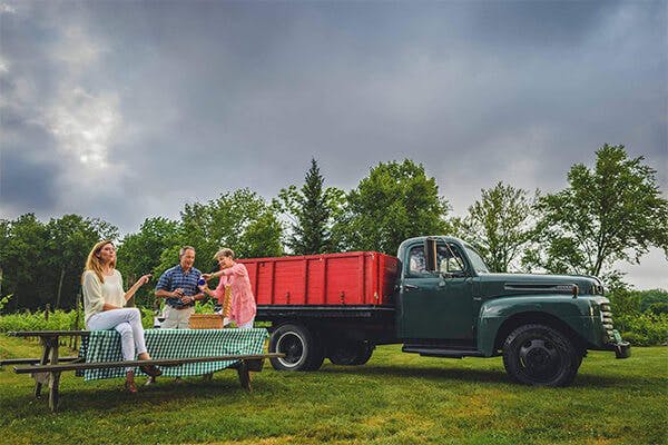 people in a picnic