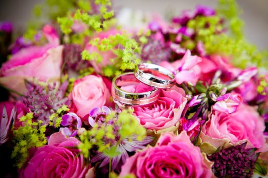 a close up of a flower and marriage rings