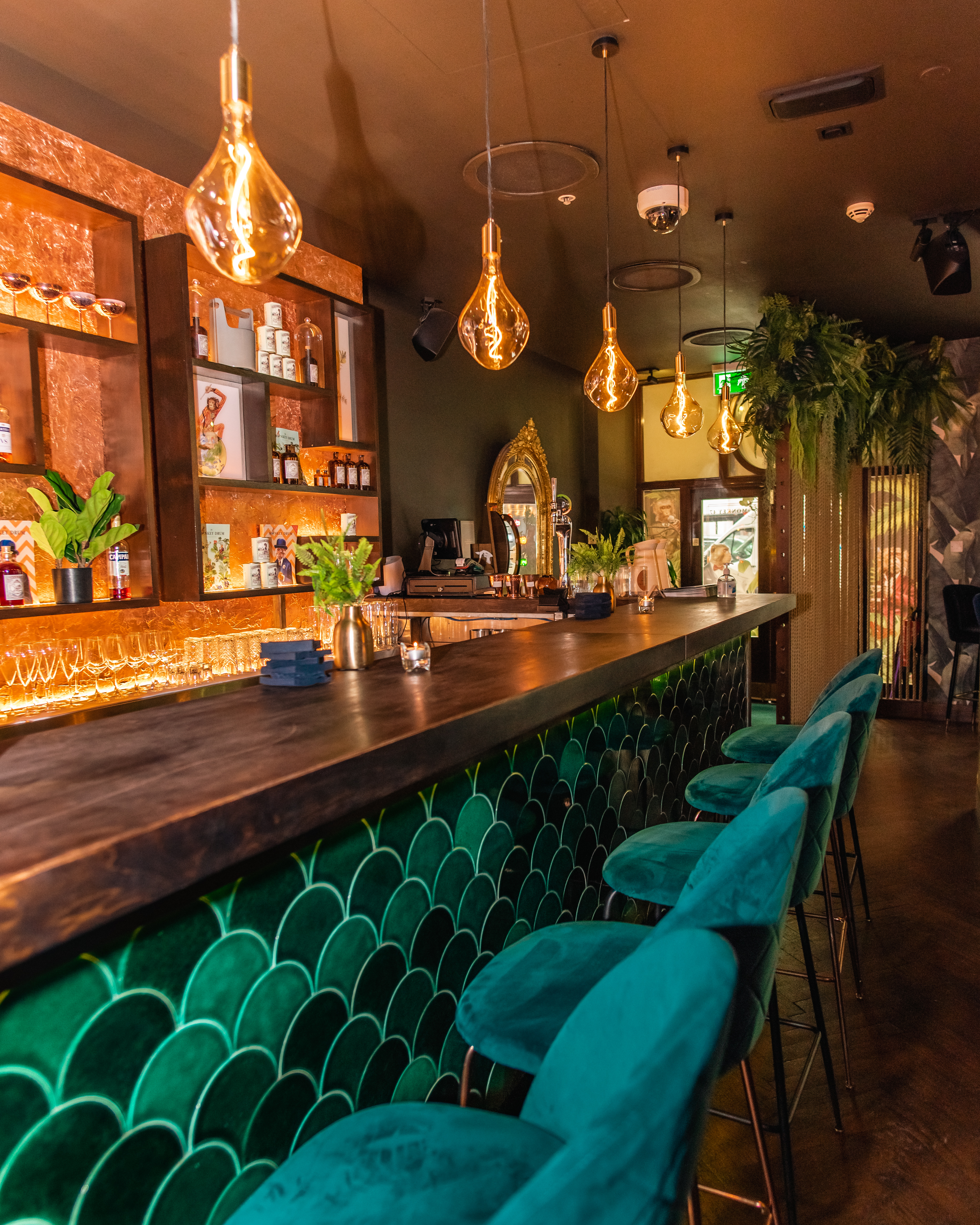 The Wild Monkey bar