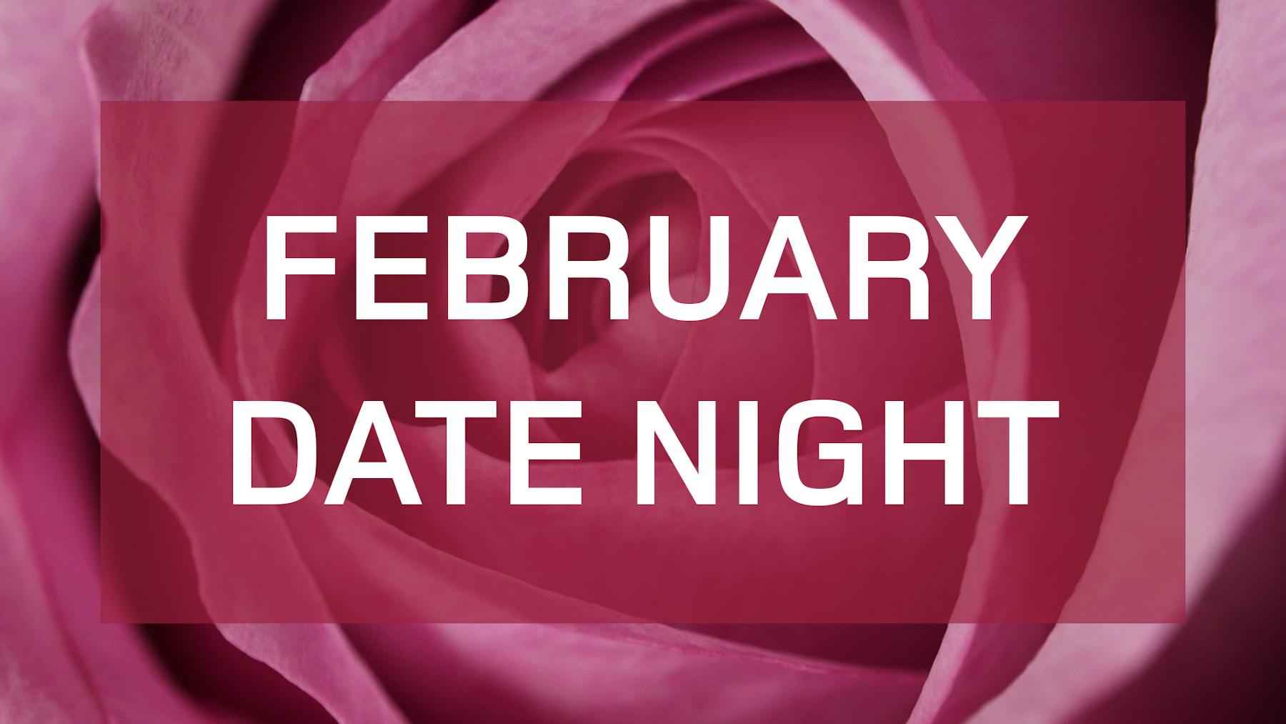 pink rose, February Date Night