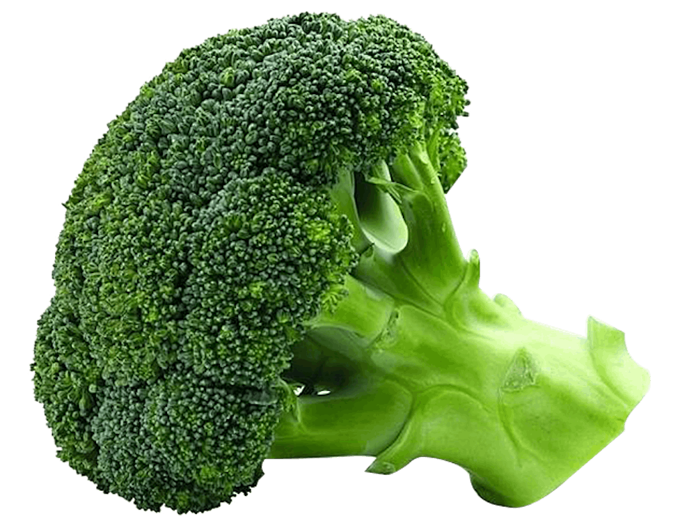 a close up of a piece of broccoli