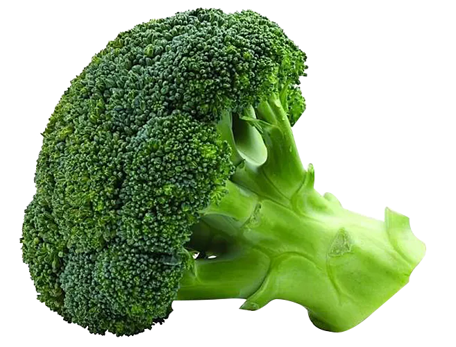 a close up of a piece of broccoli