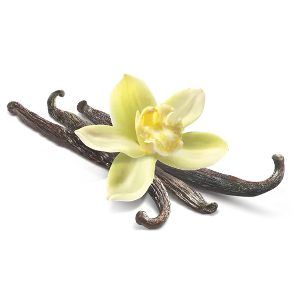a close up of a flower