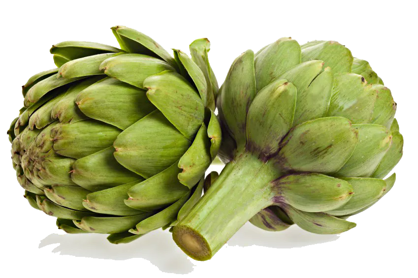 a bunch of green bananas