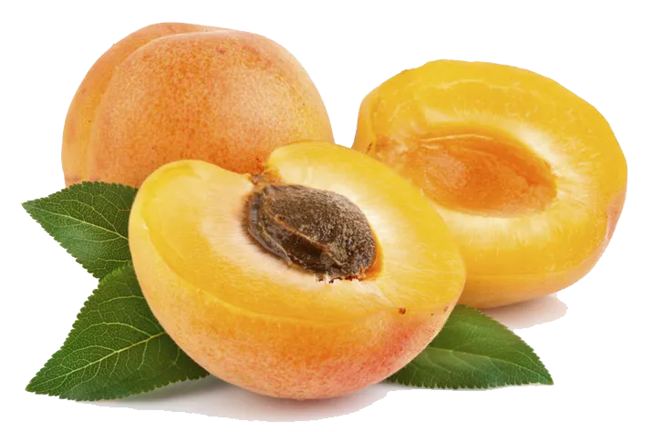 a slice of orange fruit