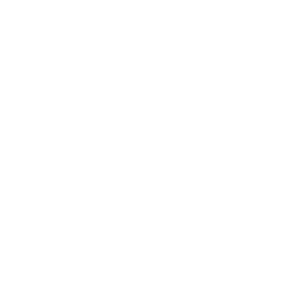 Bar Fly logo