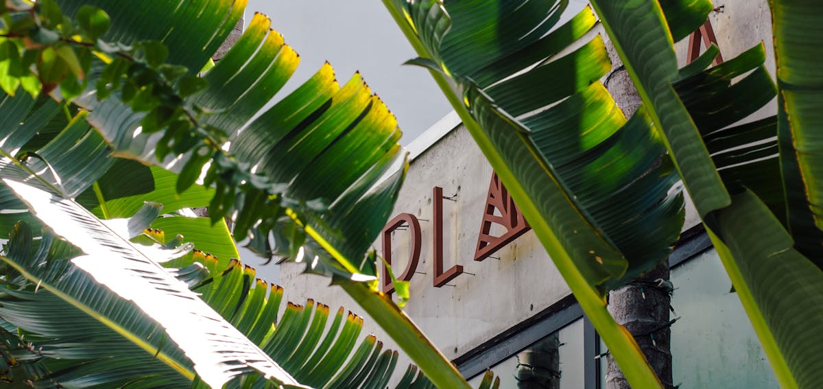 PLANTA plantbased restaurants in Miami + Toronto