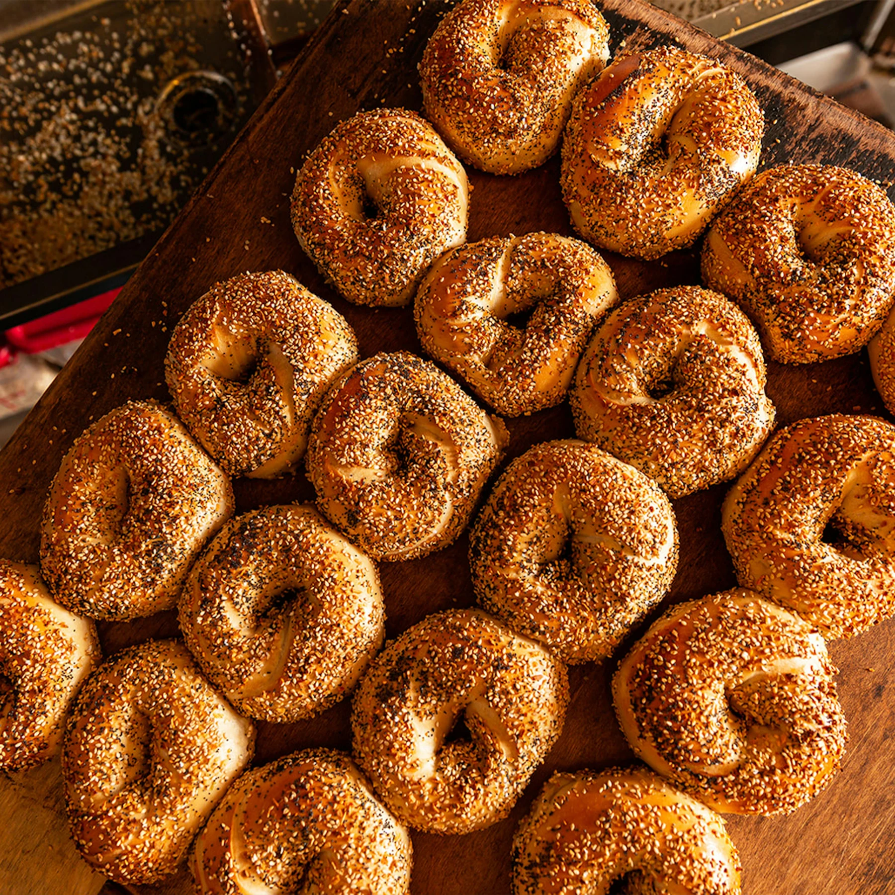 An assortment of hand-rolled Tompkins Square Bagels