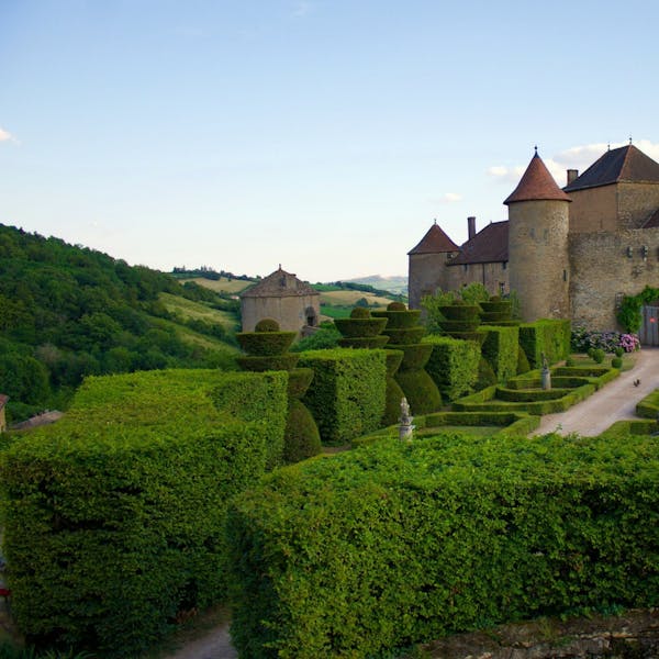 Discovering the Wines of Burgundy A Tasting Adventure Class Act