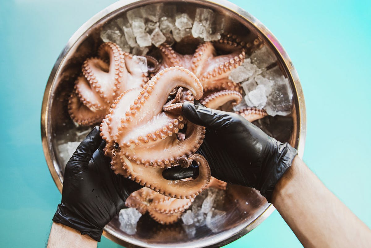 a big bowl of fresh octopus