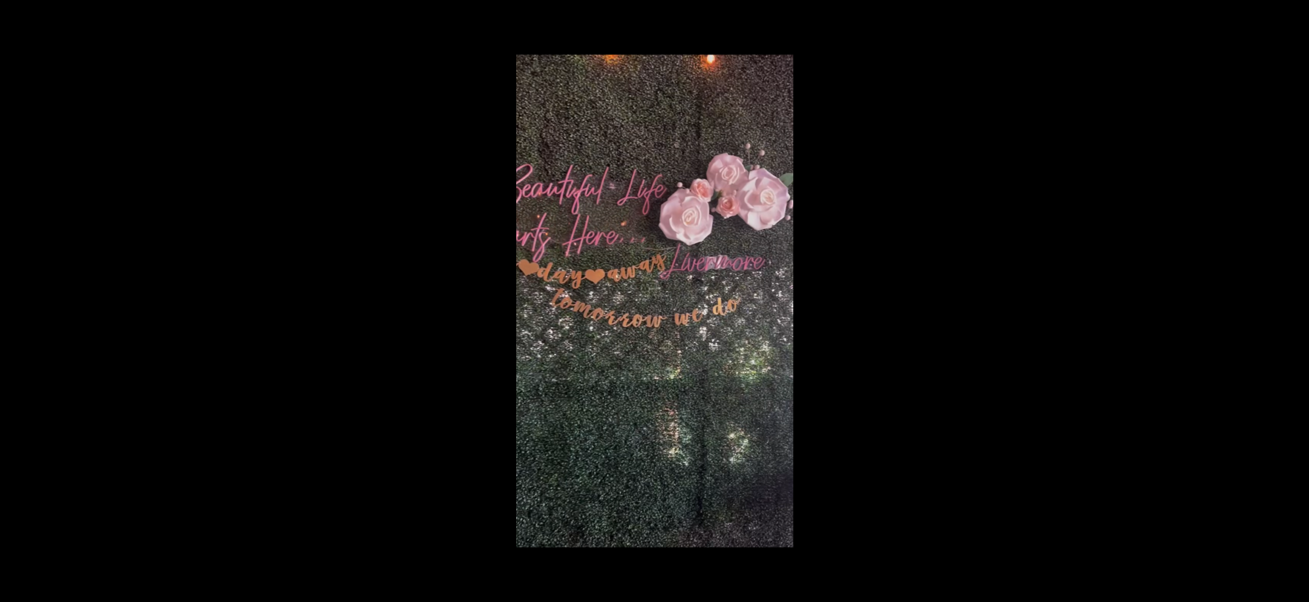 Gallery Slide 9