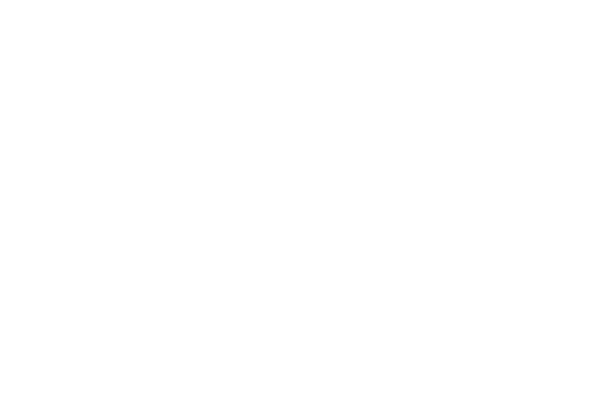 The Bird Home