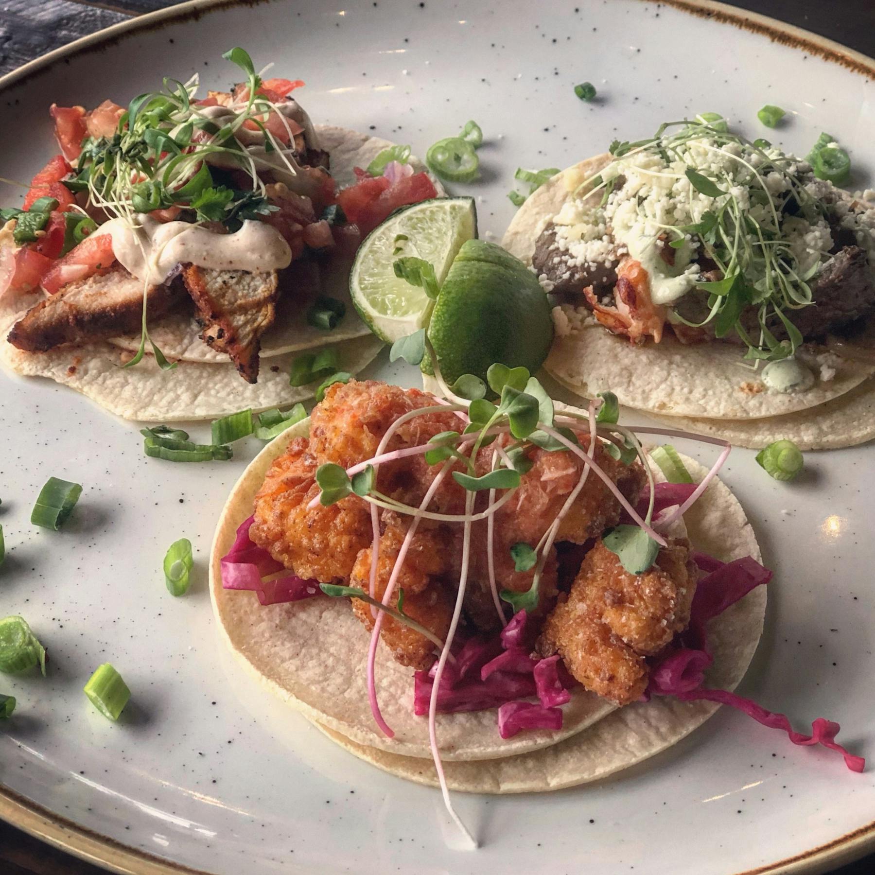 Taco Tuesdays Lucy S American Tavern A Neighborhood Restaurant Bar In Adams Village Ma