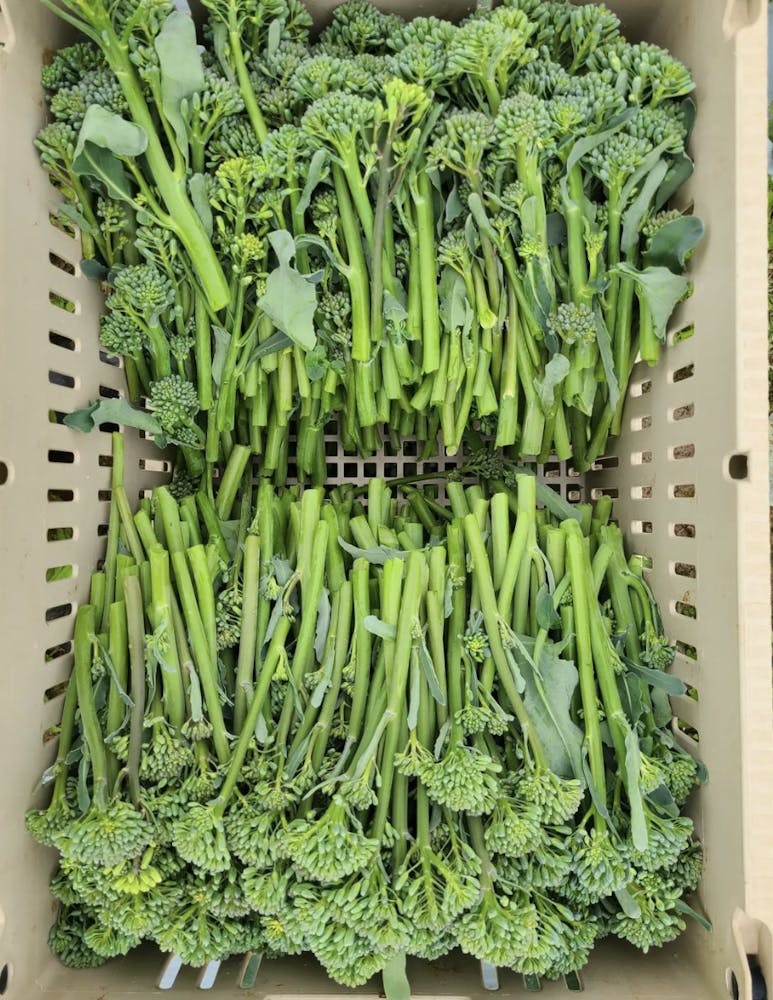 a group of broccoli on a cutting board