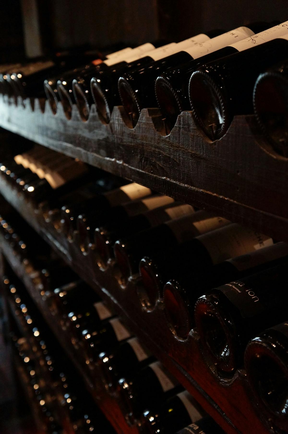 a wine cellar