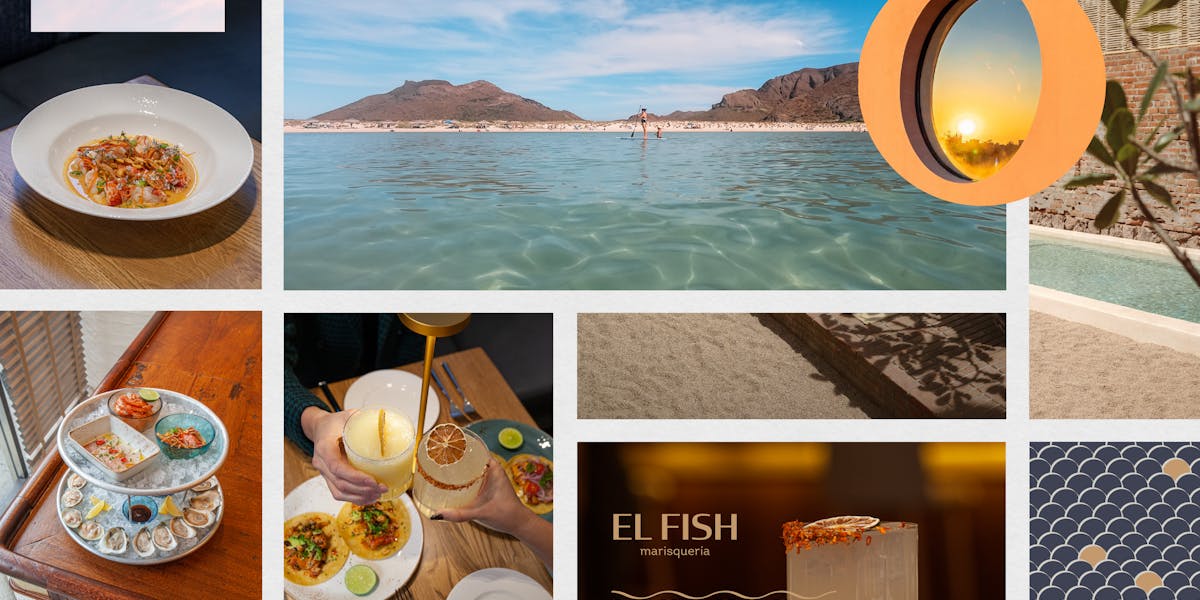 About El Fish Marisqueria in New York, NY
