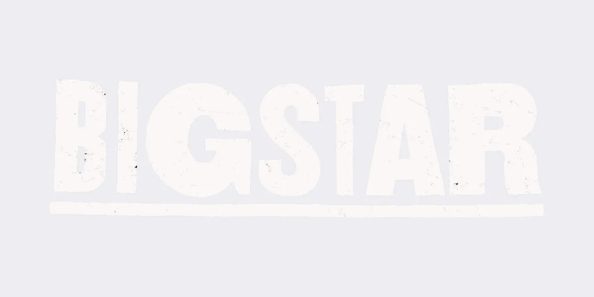 Big Star Wicker Park cover