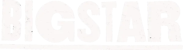 Big Star Wicker Park logo