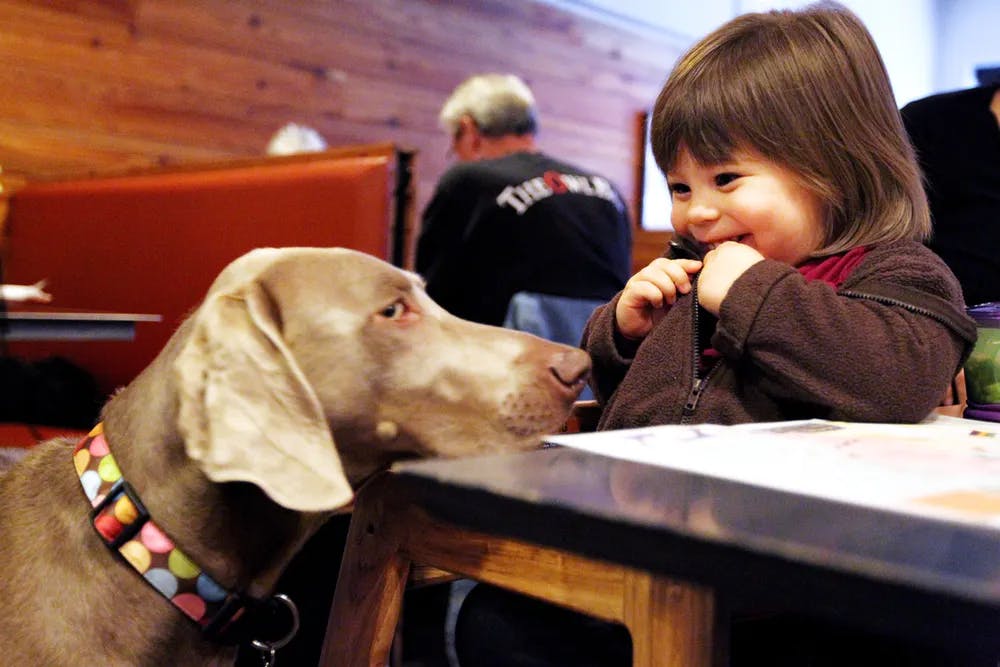 a dog with a child posing for the camera