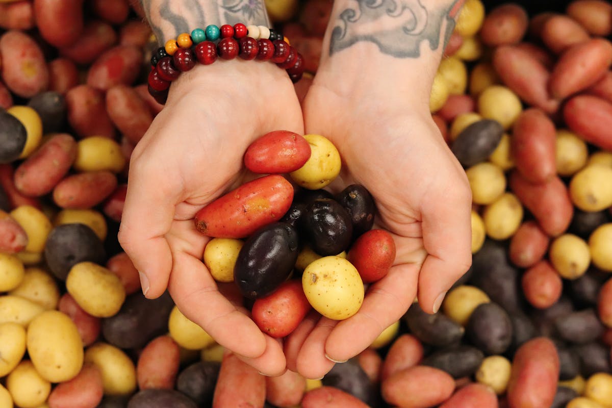 fingerling potatoes