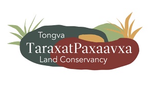 logo, company namelogo