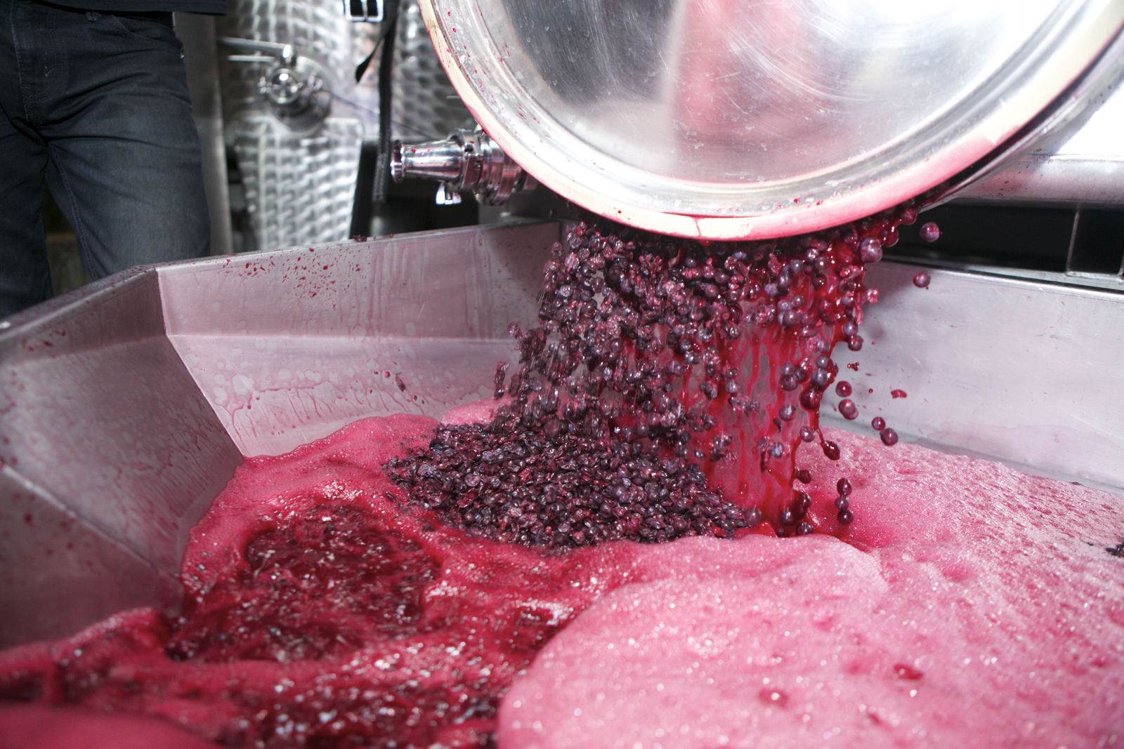 Brooklyn Winery Pressing - fermented grapes coming out of tank