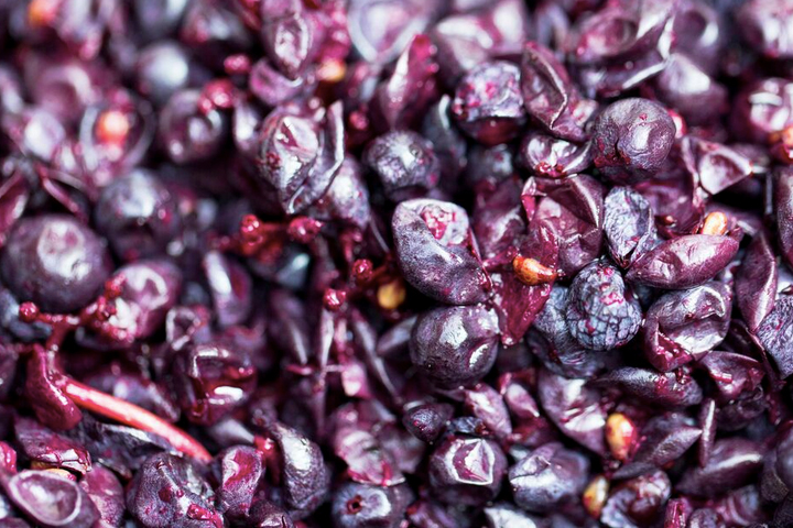 Close up of grapes fermenting