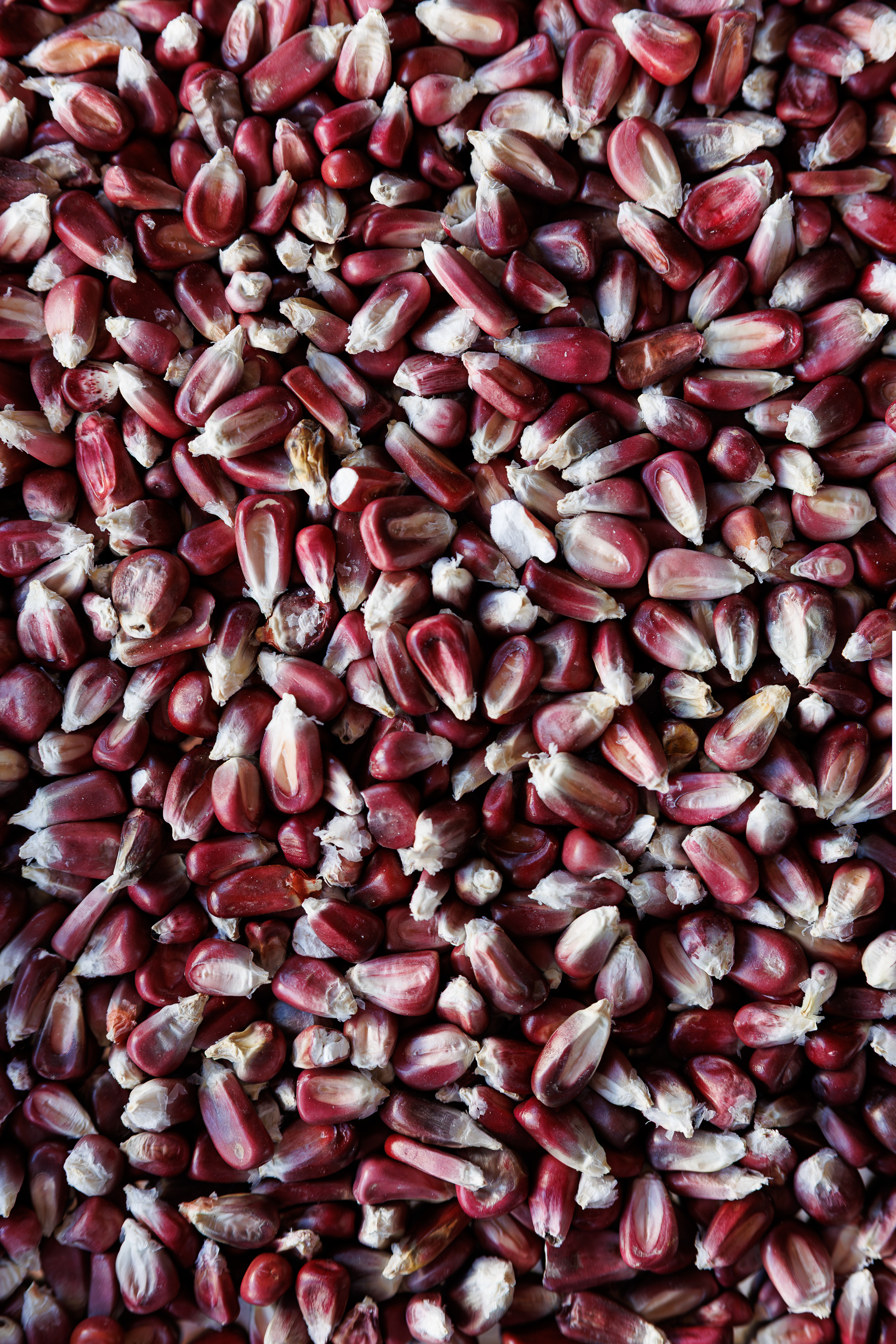 a close up of a fruit