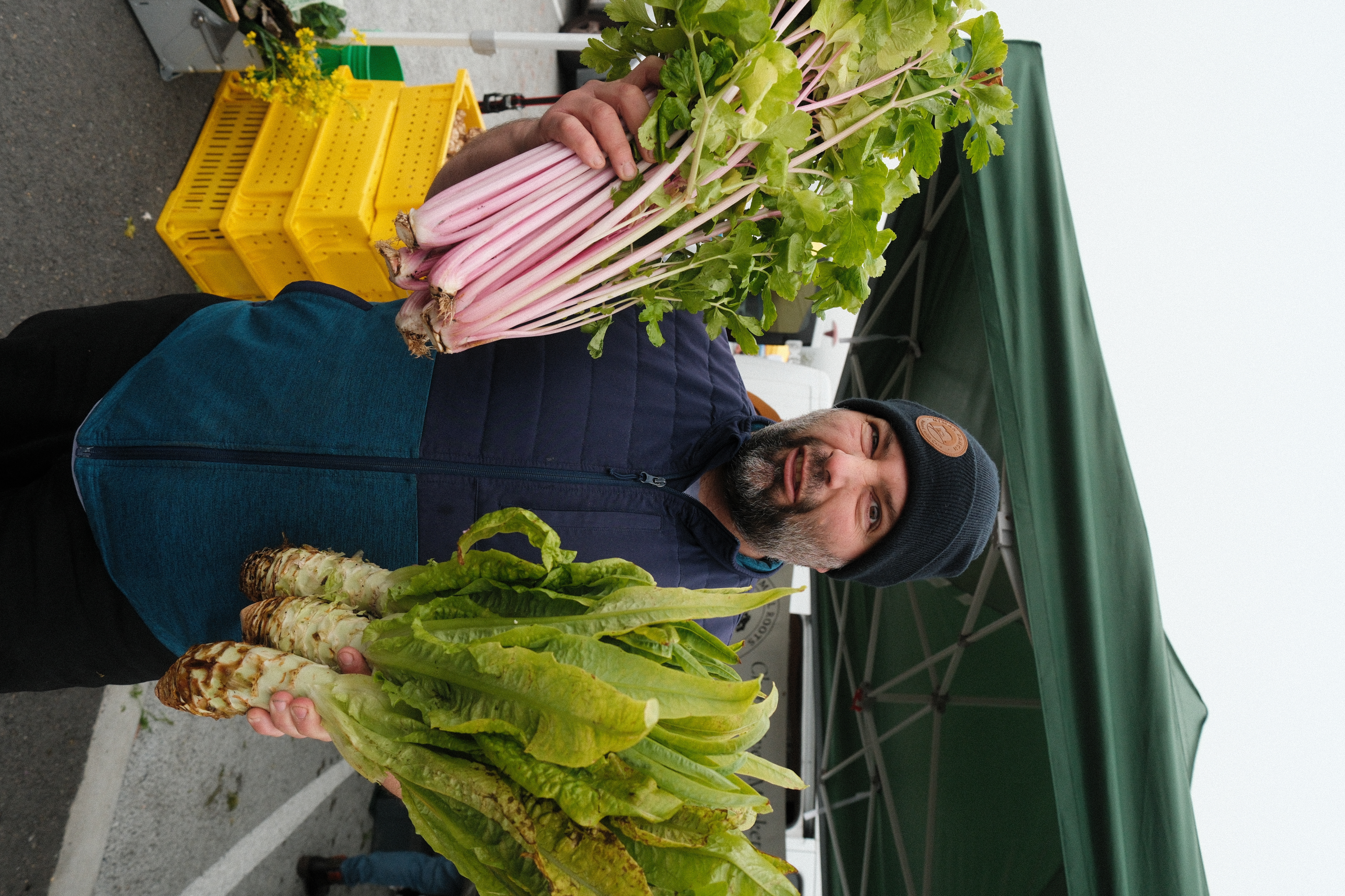 a person holding a plate of food