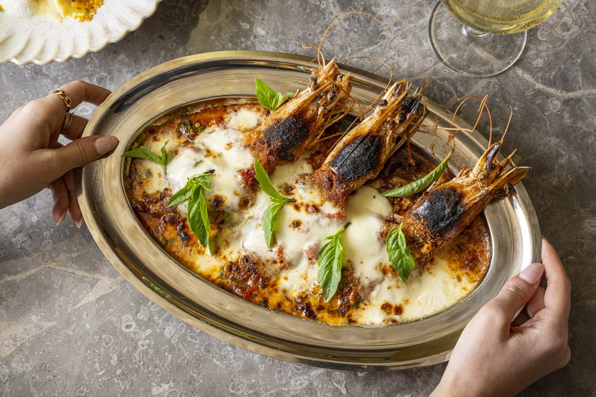 San Sabino | Italian American Seafood in NYC