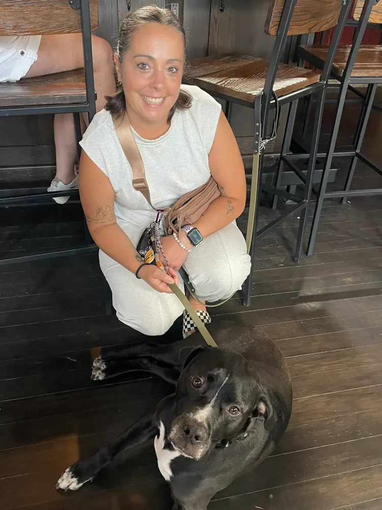 Dogs of Depot, Upper Depot Brewing Co., Hudson, NY