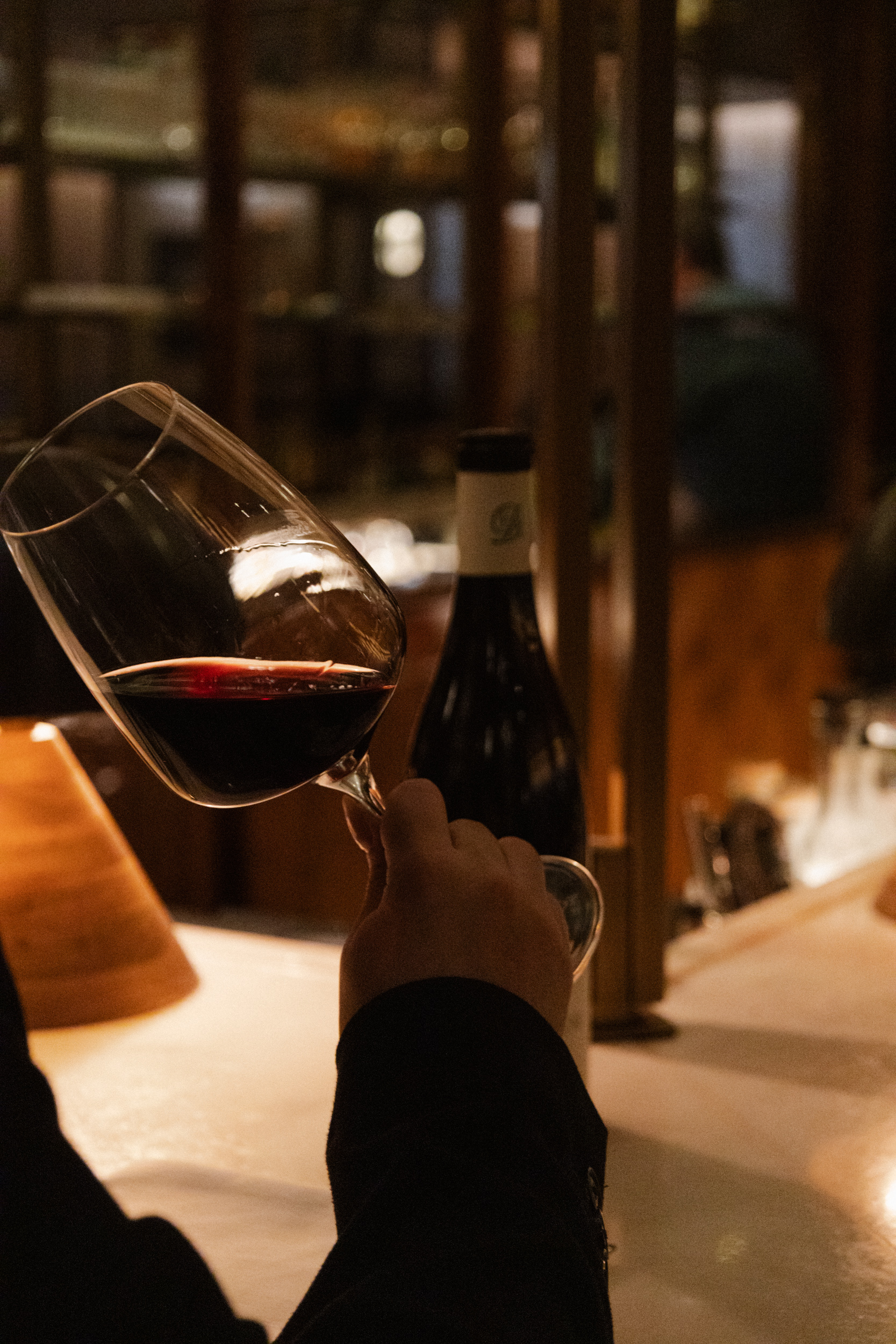 a hand holding a glass of wine