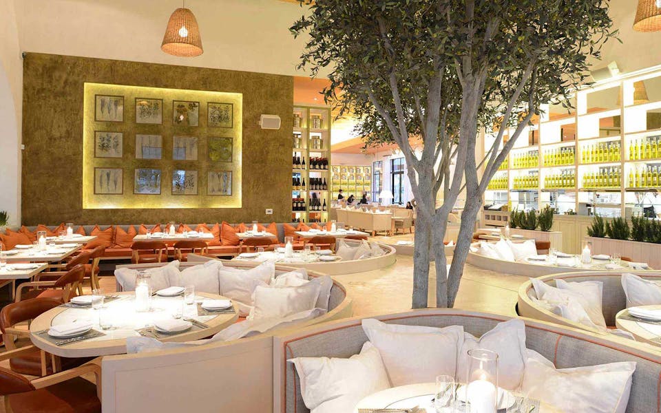 OC Newport Beach FIG & OLIVE