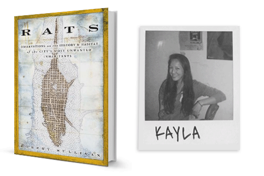 rats by robert sullivan summary rats by robert sullivan summary