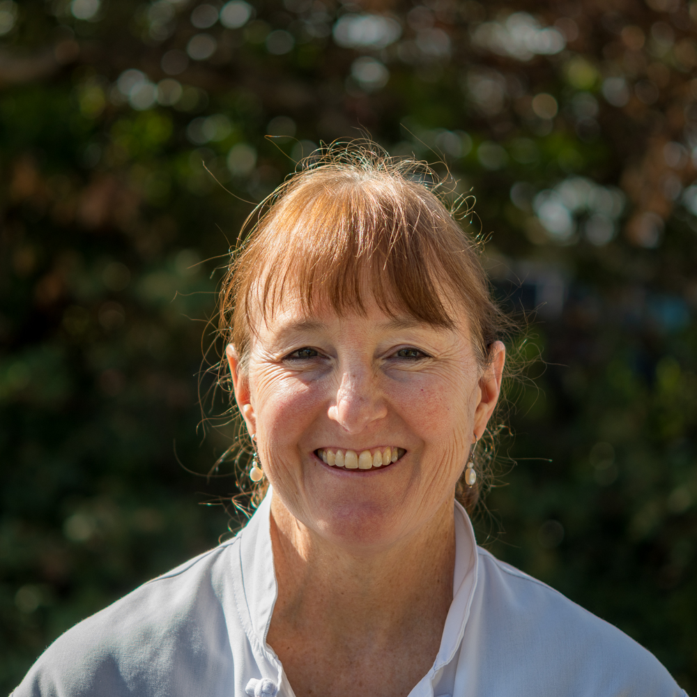 a man wearing a blue shirt and smiling at the camera
