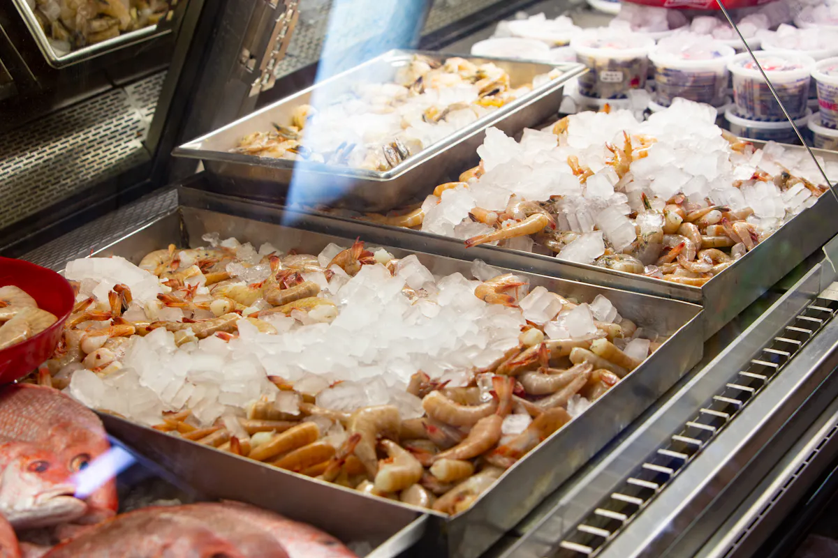 an array of trays filled with ice to cool shrimps