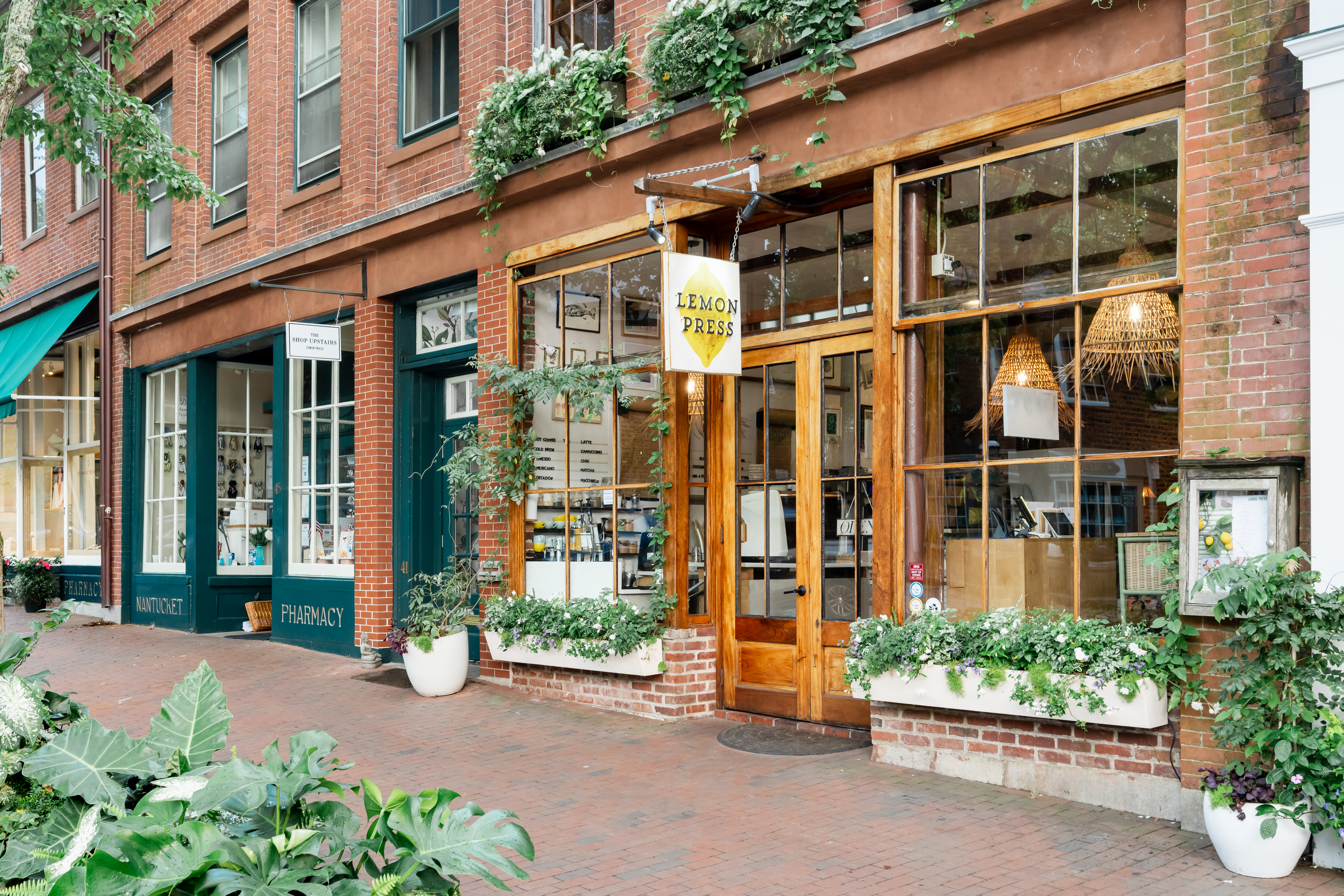 a close up of a flower garden in front of a brick building
