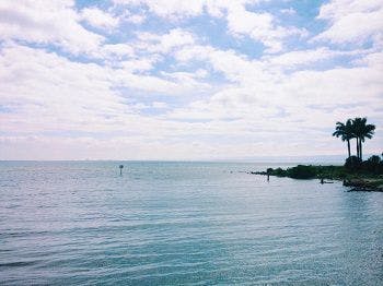 a large body of water