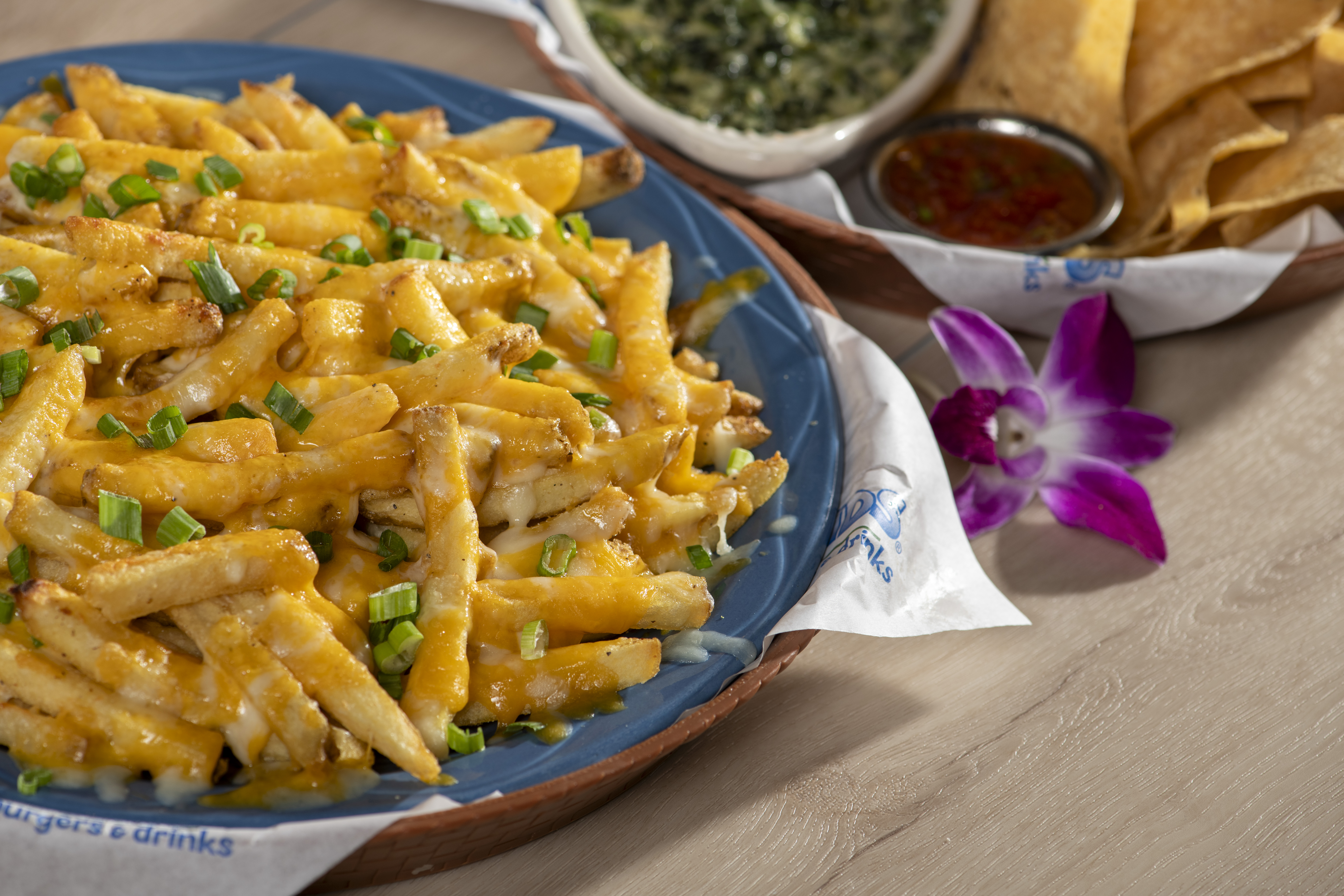 fresh cut cheddar fries