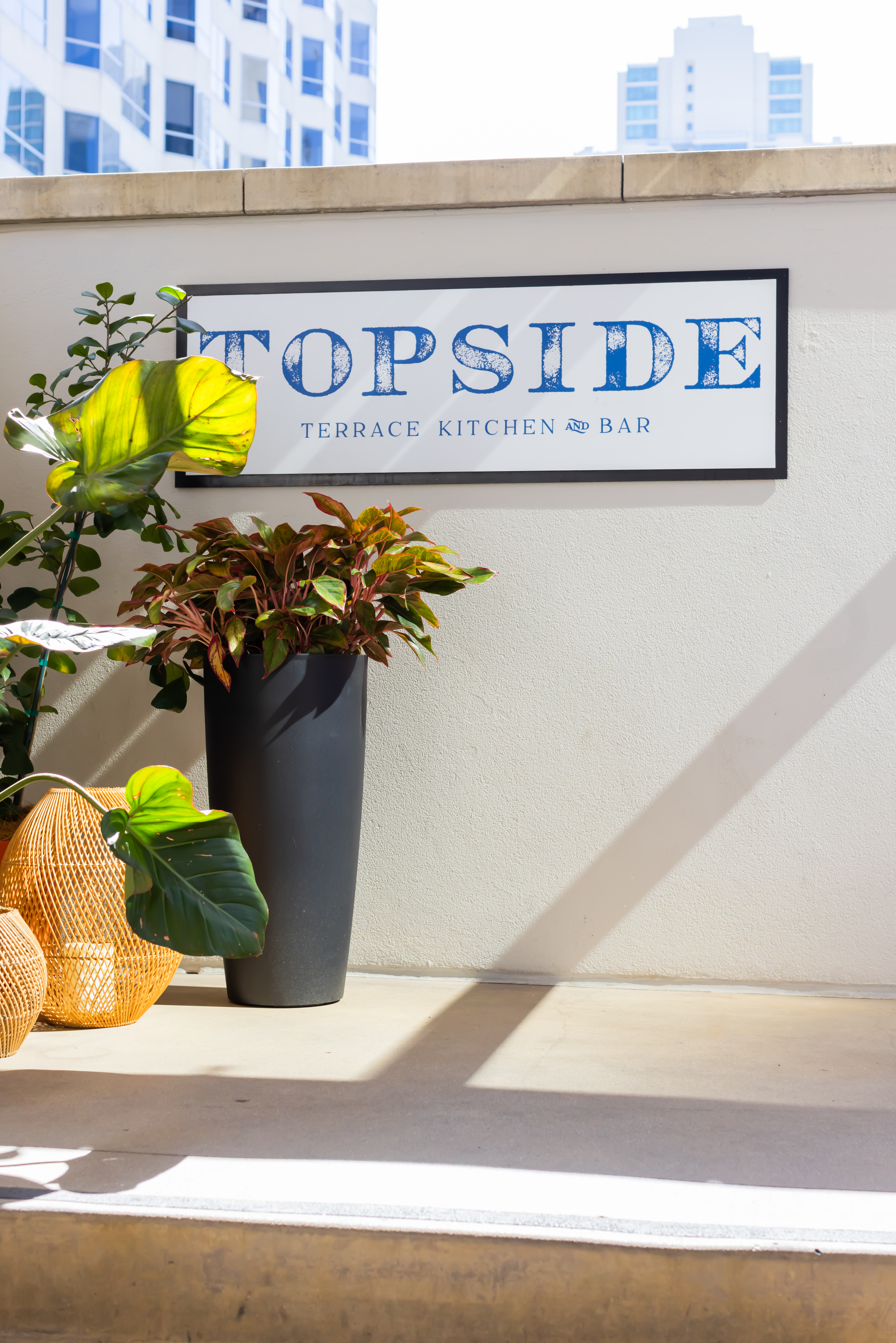 plants in pots next to a sign