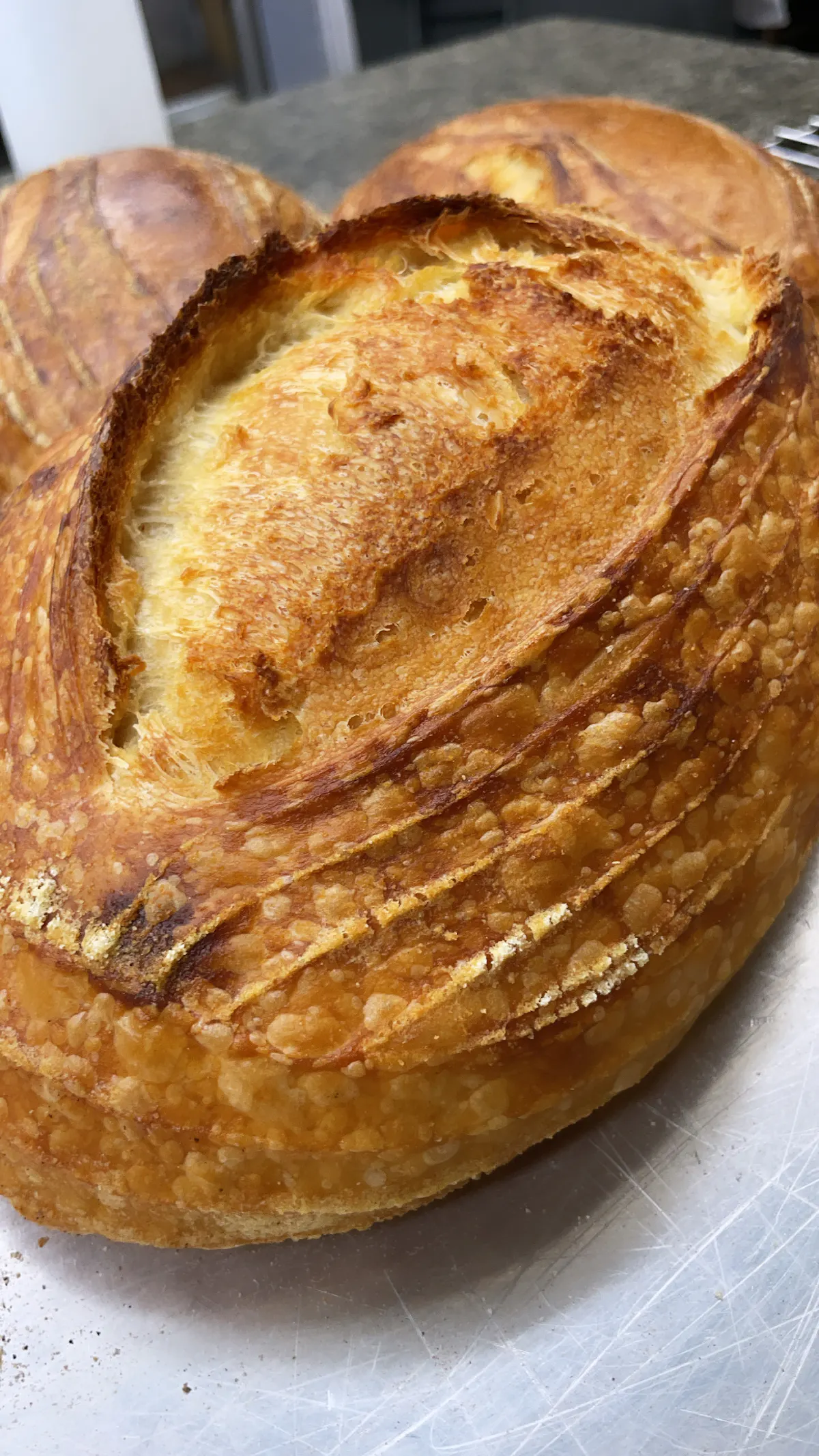 a close up of a piece of bread