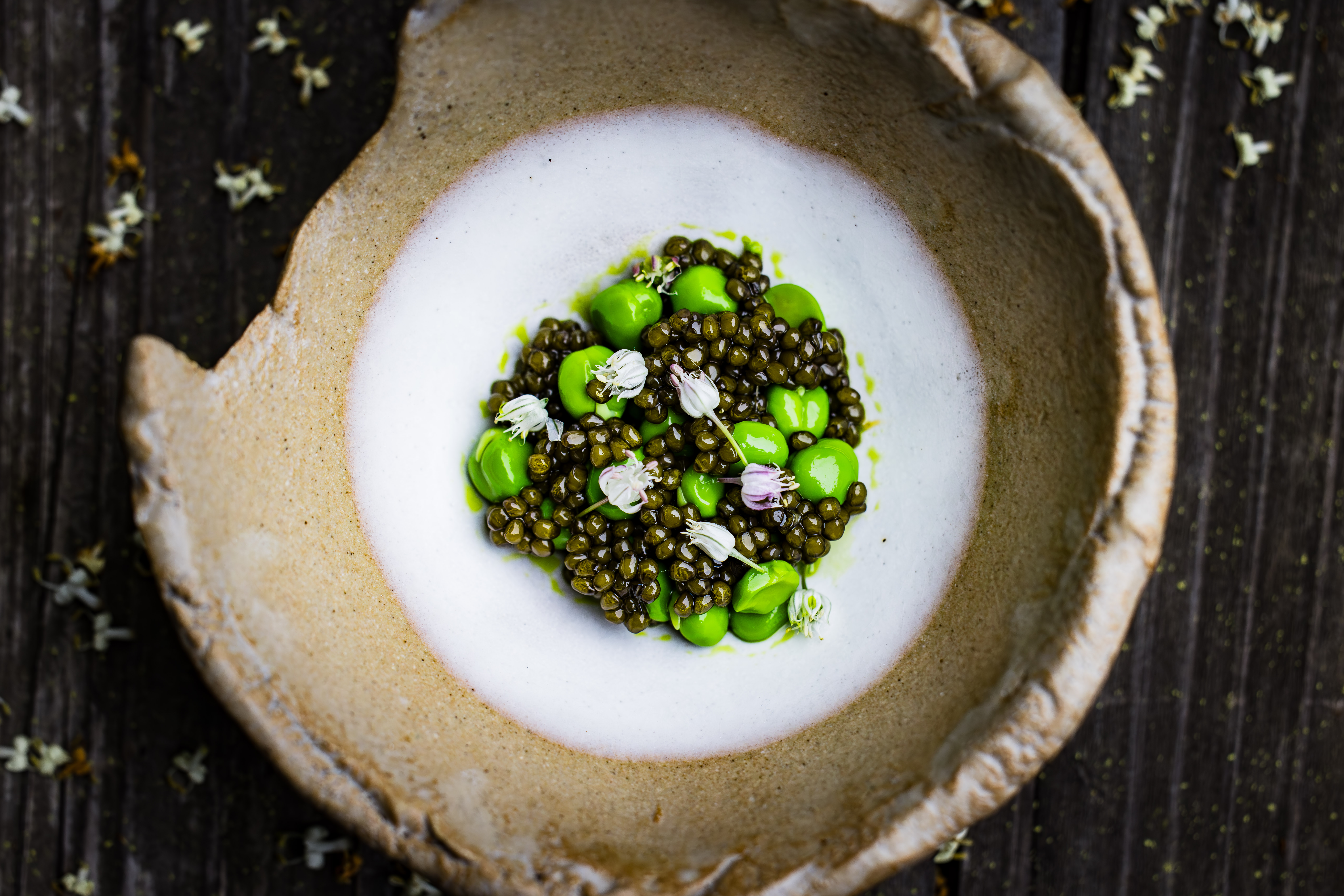 overhead image of the fermented potato VichysoissE