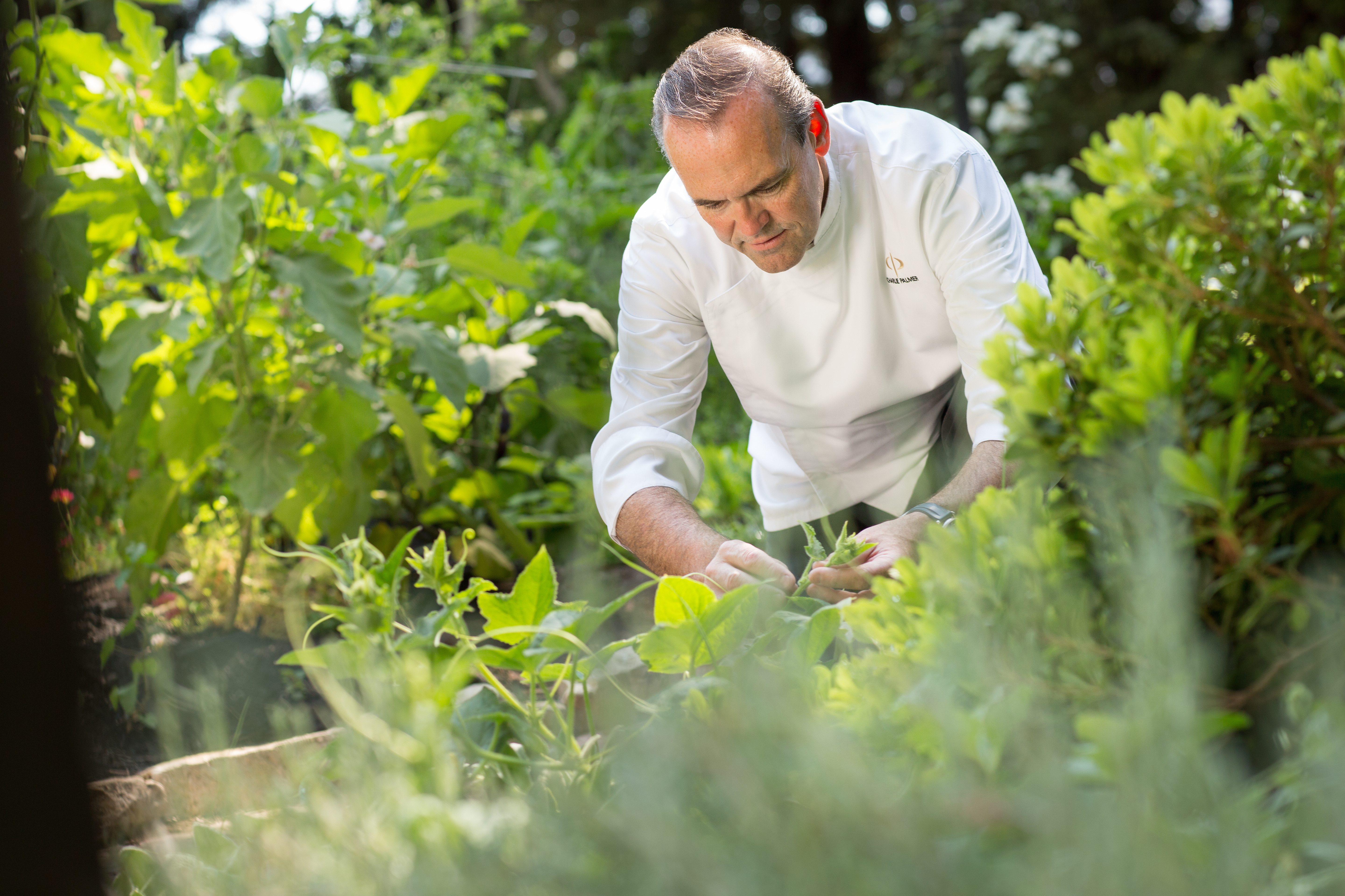 a close up of a person