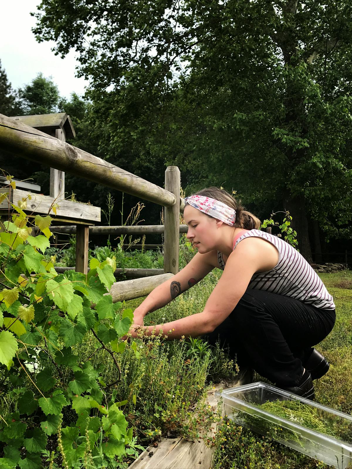 a woman sitting on a bench in a garden