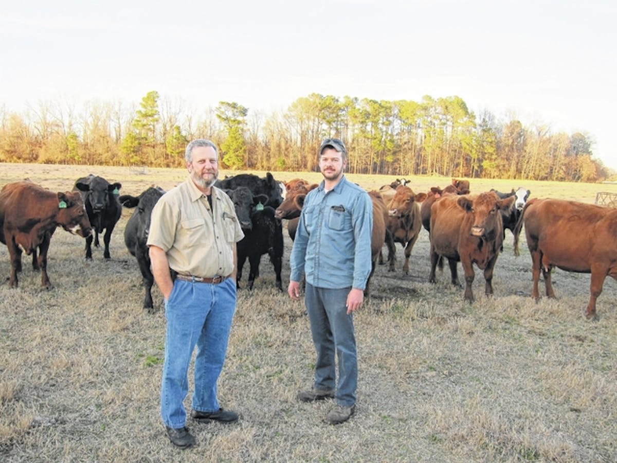 a group of people standing next to a cow