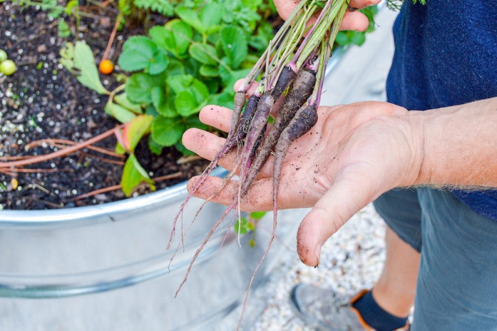 a hand holding a baby