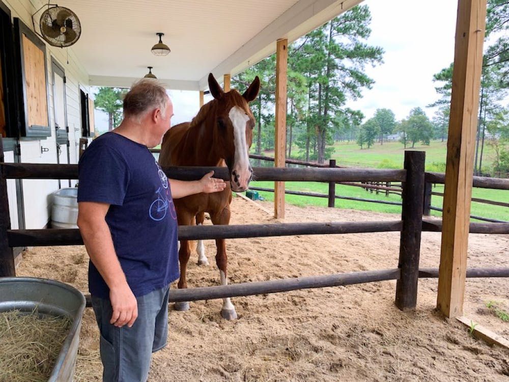 a person petting a horse in front of a fence
