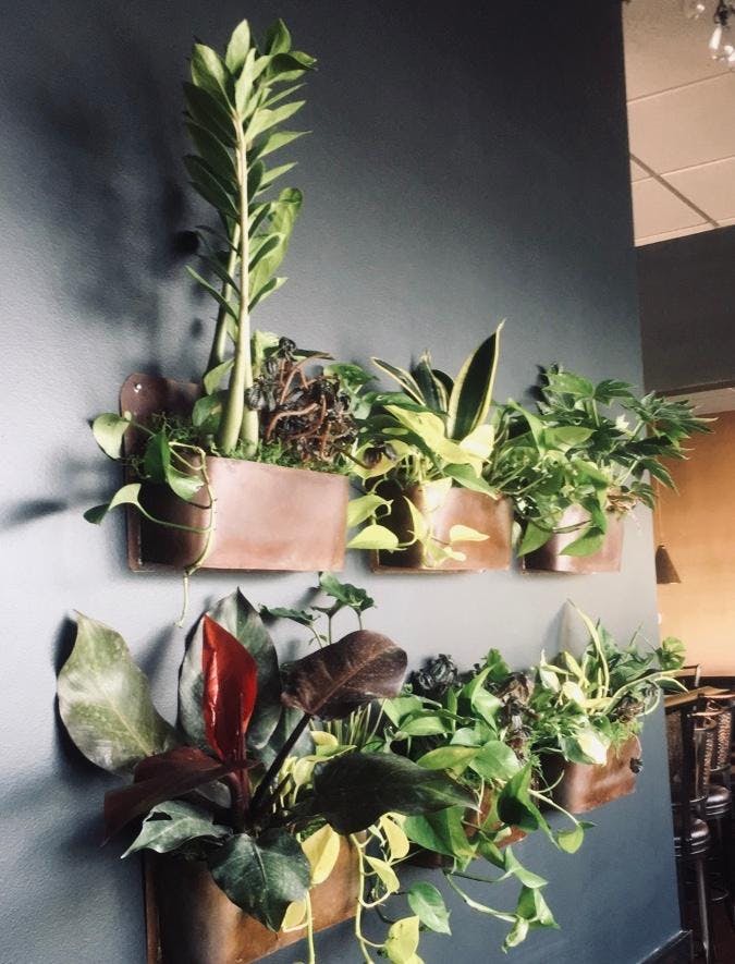 a vase of flowers on a table