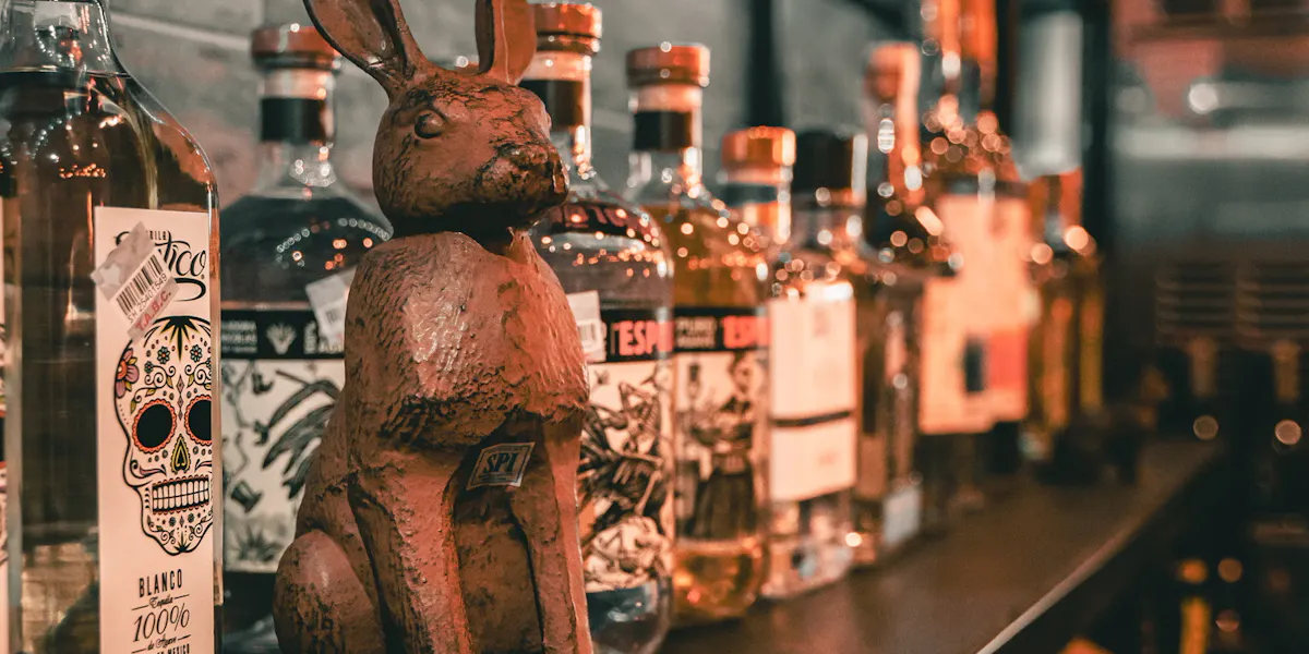 Wild Rabbit Drink Menu Drink Menu | The Rabbit Hole in TX